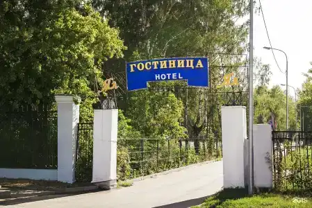 Ял - 19