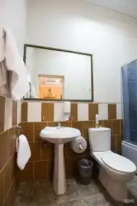 Золотой Лев - 101