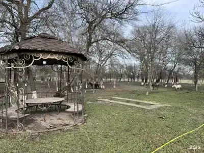 Беной Тревел Озеро - 20