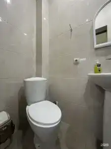 Золотой лев - 12