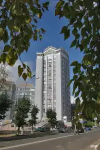 Палас - 0