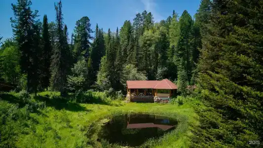 Телецкое Золотое - 111