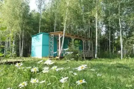 Лесной сон - 73