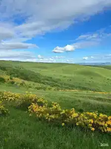 Медовые холмы - 13