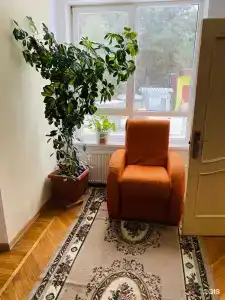 Балтийский лес - 1