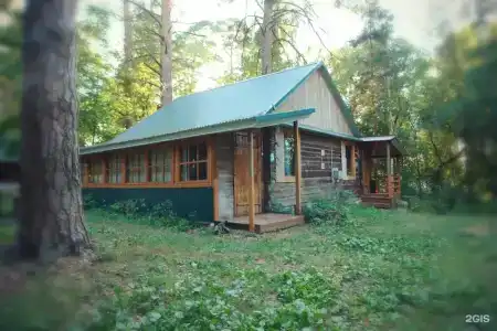 Сосновый бор - 1
