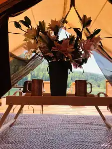 БораБора - 66