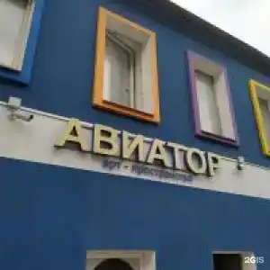 Рус Авиатор - 119