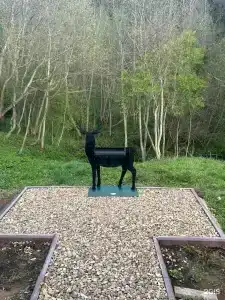 Дача Удача - 173