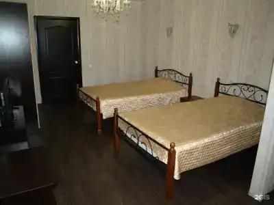 Зебра - 67