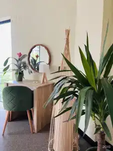 Little Palm - 49