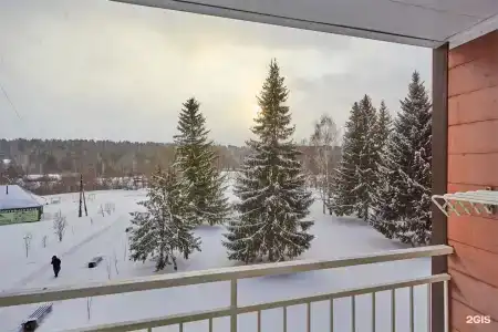 Сосновый бор - 80