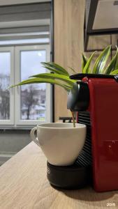 в историческом центре Амалиенау - 12