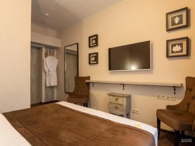 Сова на Академической - 77