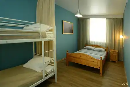 Гости - 137