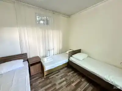 Пальма - 1