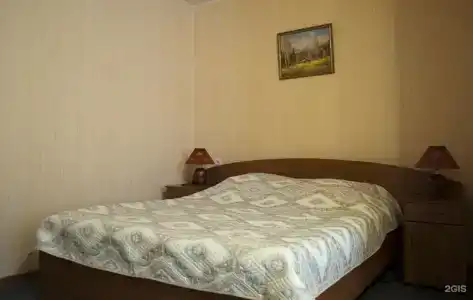 Спутник - 8