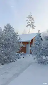 Белый берег - 90