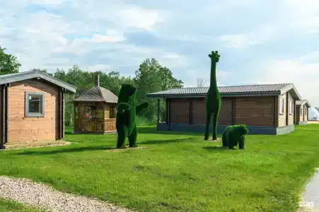 Фазенда - 11