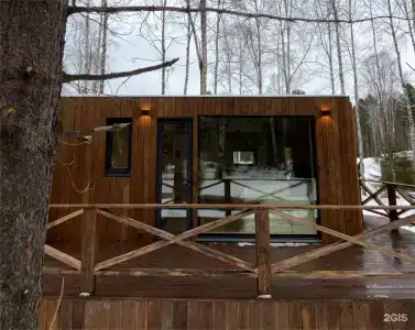 Снежные гуси - 46