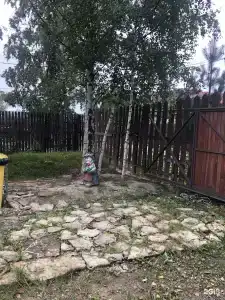 Горелово - 37