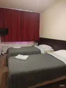 Снегири - 23