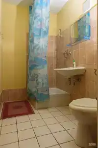 Парма - 37
