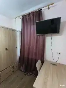 Эвкалипт - 59