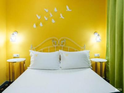 Сова на Академической - 86