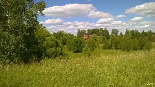 Лосиное - 42