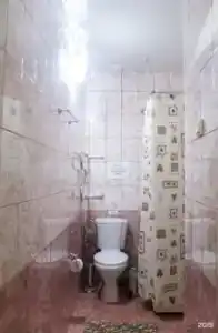 Кедровый бор - 12