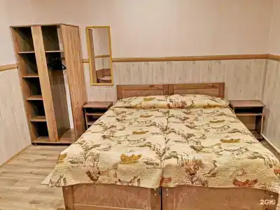 Спутник - 65