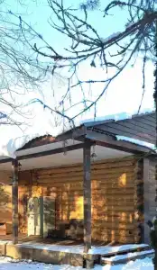 На опушке леса - 7