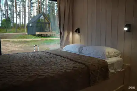 Пруды и сосны - 37