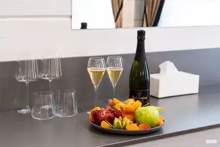Opera Wellness - 158