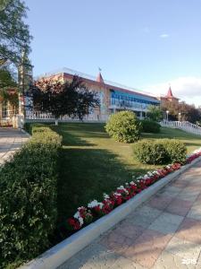 Вишневая поляна - 82