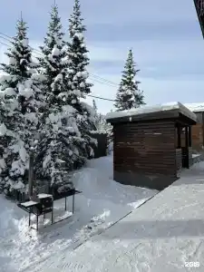 Клевер - 91