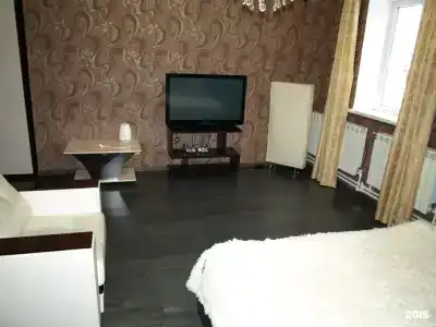 Зебра - 62
