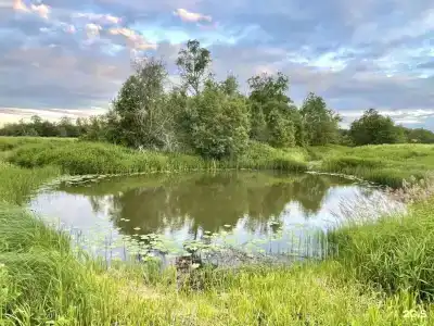 Дорские просторы - 89