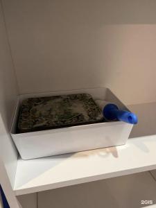 Лимон На Марата - 14