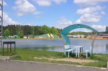 Чайка - 33