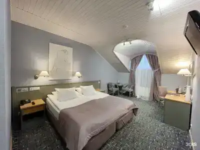Old Estate Hotel & SPA - 198