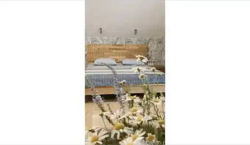 12 месяцев - 25