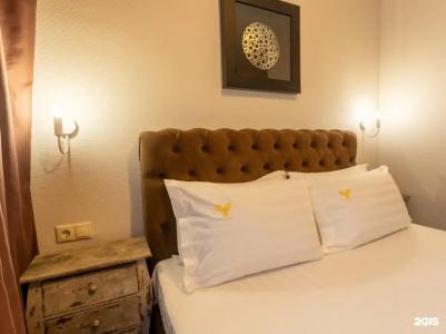 Сова на Академической - 74