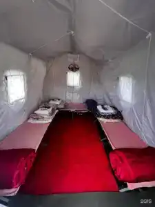 Большие лососи - 0