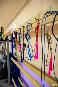 Вишневая поляна - 27