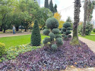 inSochi  - 28