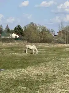 Дорские просторы - 82