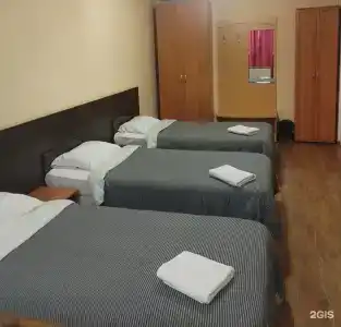 Снегири - 60