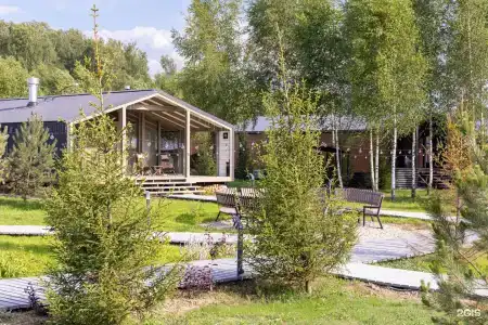 Garnet holiday. Green forest - 1